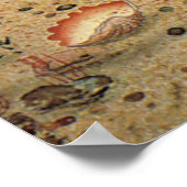 bot- en zeeboten poster (Hoek)