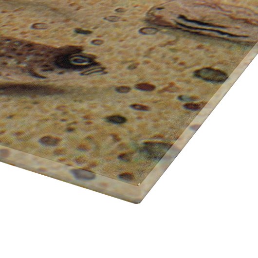  bot- en zeeboten snijplank (Hoek)