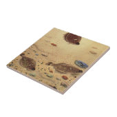  bot- en zeeboten tegeltje (Zijkant)