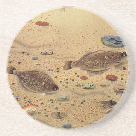  bot- en zeeboten zandsteen onderzetter (Voorkant)