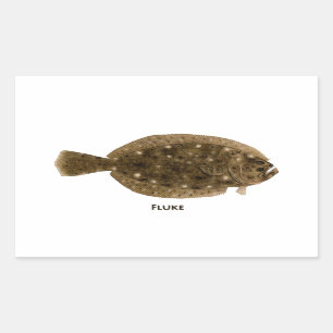 Bot Rechthoekige Sticker