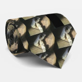 Bot Stropdas (Opgerold)