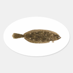 Bot - Summer Flounder Ovale Sticker