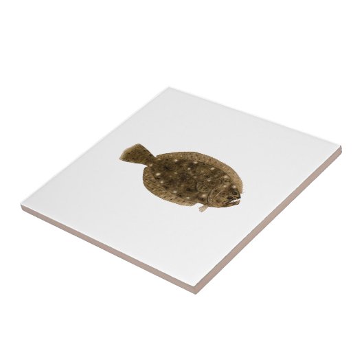 Bot - Summer Flounder Tegeltje (Zijkant)
