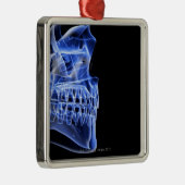 Bot van de Jaw Metalen Ornament (Rechts)