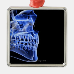 Bot van de Jaw Metalen Ornament