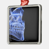 Bot van de Jaw Metalen Ornament (Links)