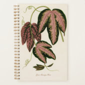 Botanic Green Plant Mam Pap Planner (Voorkant)