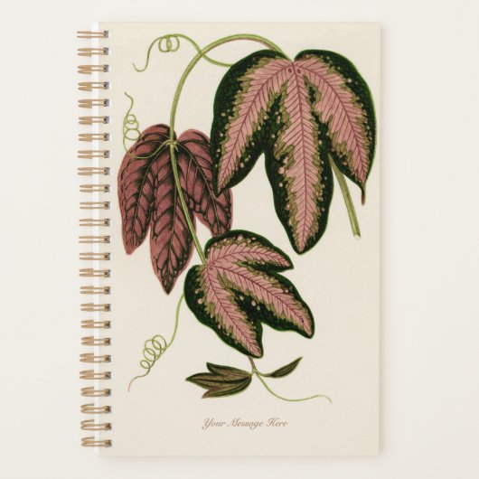 Botanic Green Plant Mam Pap Planner (Voorkant)
