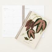 Botanic Green Plant Mam Pap Planner (Display)