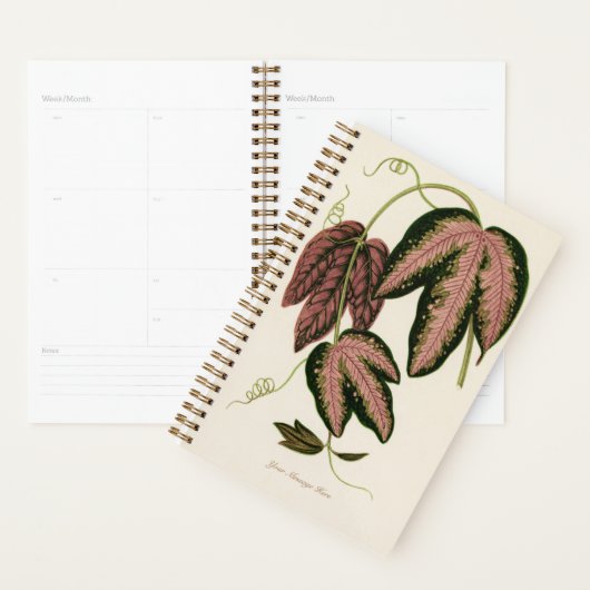 Botanic Green Plant Mam Pap Planner (Display)