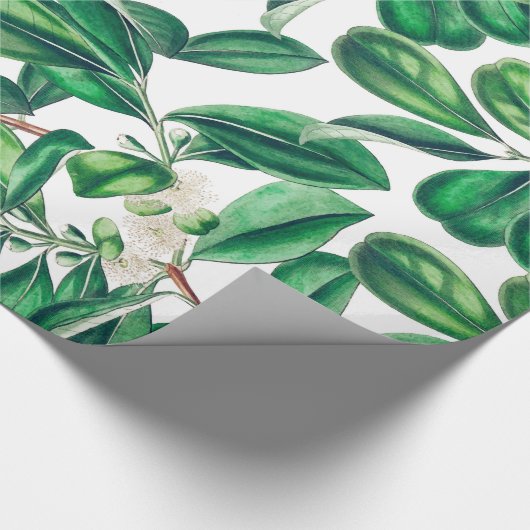 Botanica Cadeaupapier (Hoek)