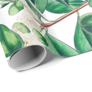 Botanica Cadeaupapier