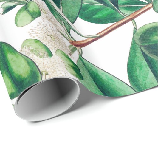 Botanica Cadeaupapier (Rol Hoek)