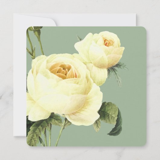 Botanica | Sage Yellow  roos Weddenschap Kaart (Achterkant)