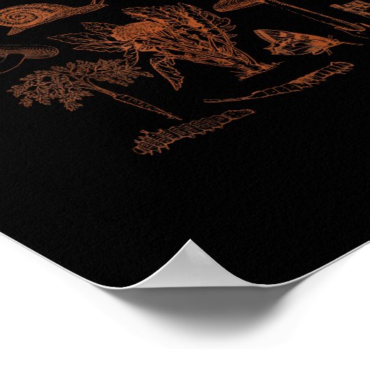 Botanical Art, Frog Fungi Goblincore Aesthetic Cot Poster (Hoek)