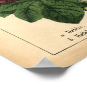  Botanical Autumn Herfst Floral Print, 1860 Poster (Hoek)