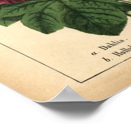  Botanical Autumn Herfst Floral Print, 1860 Poster (Hoek)