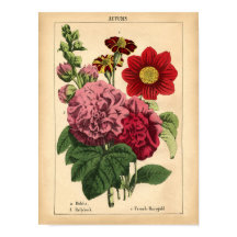  Botanical Autumn Herfst Floral Print, 1860