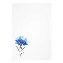 Botanical Cornflower Watercolor Art Print-Stage1 Foto Afdruk
