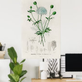 Botanical Garden Blue Wildflower Illustration Poster (Thuiskantoor)
