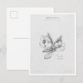 Botanical Illustration 2 'The Awakening of Spring' Briefkaart (Voorkant / Achterkant)