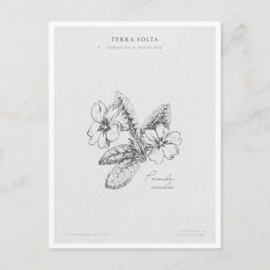 Botanical Illustration 2 'The Awakening of Spring' Briefkaart (Voorkant)