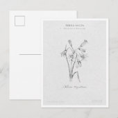 Botanical Illustration 4 'The Awakening of Spring' Briefkaart (Voorkant / Achterkant)