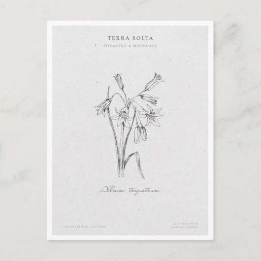 Botanical Illustration 4 'The Awakening of Spring' Briefkaart (Voorkant)