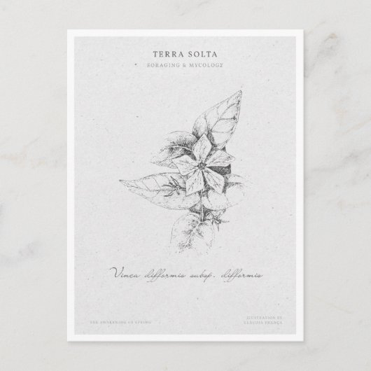 Botanical Illustration 5 'The Awakening of Spring' Briefkaart (Voorkant)