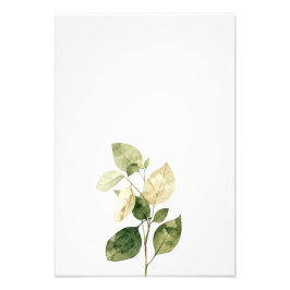 Botanical Leaf Watercolor Art Print-Ficus Foto Afdruk