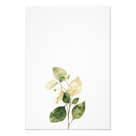 Botanical Leaf Watercolor Art Print-Ficus Foto Afdruk (Voorkant)