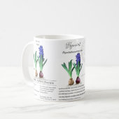 Botanical mug Hyacinth in my garden.  Koffiemok (Voorkant links)