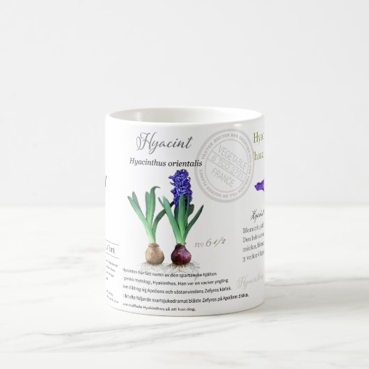 Botanical mug Hyacinth in my garden.  Koffiemok (Center)