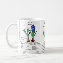 Botanical mug Hyacinth in my garden.  Koffiemok
