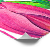Botanical Pink Tulips Drawing Poster (Hoek)