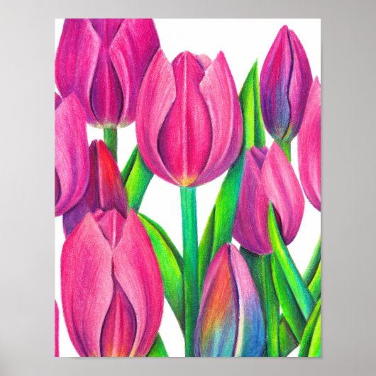 Botanical Pink Tulips Drawing Poster (Voorkant)