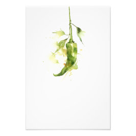 Botanical Red Pepper Watercolor Art Print-Stage2 Foto Afdruk