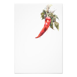 Botanical Red Pepper Watercolor Art Print-Stage3 Foto Afdruk