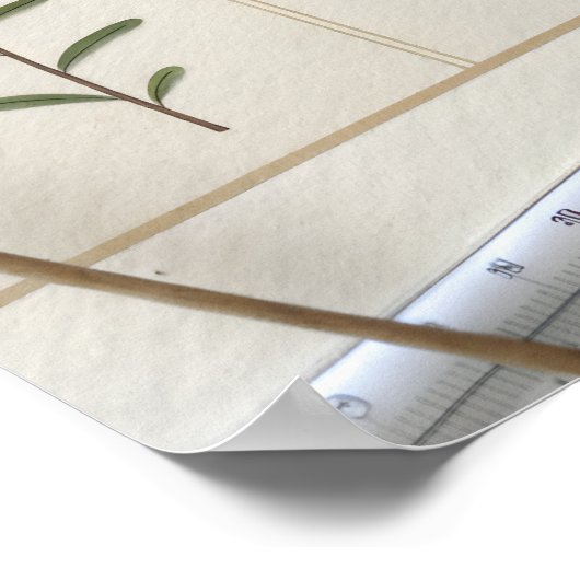 Botanical Scientific Plate Poster (Hoek)