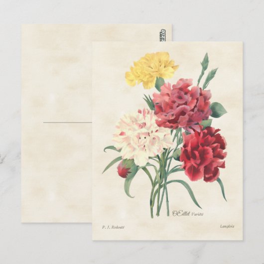 Botanical Vintage Briefkaart (Voorkant / Achterkant)