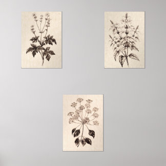Botanical Wall Art for Living Room Muurkunst Sets