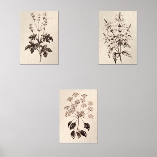 Botanical Wall Art for Living Room Muurkunst Sets (Voorkant)