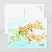 Botanical wildflower watercolor, globemallow briefkaart (Voorkant / Achterkant)