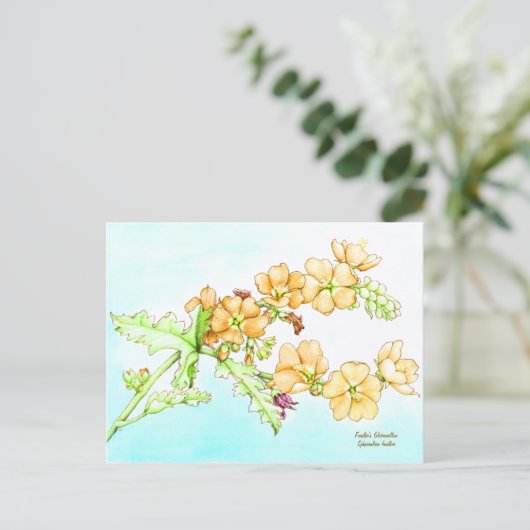 Botanical wildflower watercolor, globemallow briefkaart (Staand voorkant)