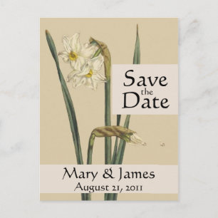  Botanicals Daffodil Save the Date Briefkaart