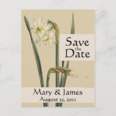  Botanicals Daffodil Save the Date Briefkaart (Voorkant)