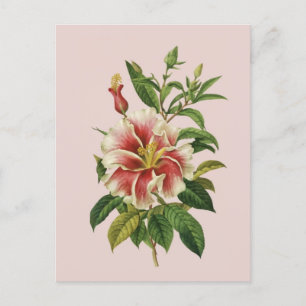 Botanicals  Flower Modern Art II Poster Feestdagenkaart