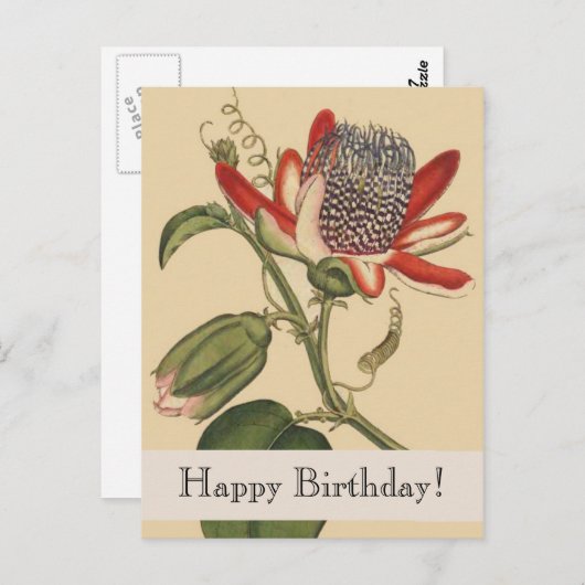 Botanicals Happy Birthday Briefkaart (Voorkant / Achterkant)