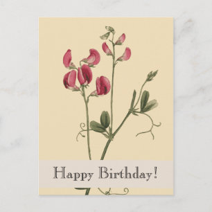  Botanicals Happy Birthday Briefkaart